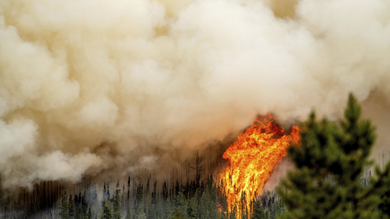 Пламъци обвиха горите в Канада, над 250 огнища са извън контрол (снимки)