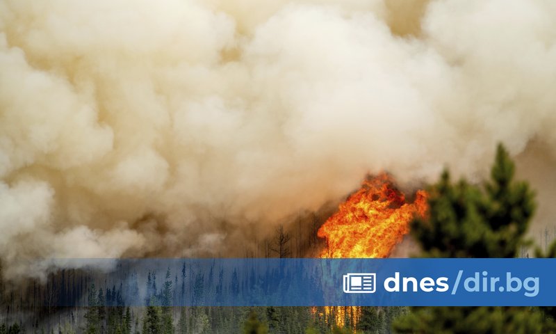 Снимка: БТА/АР Фронтът на пожарите се простира от тихоокеанското до