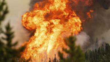 Александър Хелд който е специалист по горски пожари подчертава пред