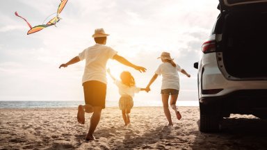 До средата на миналия век семействата са отъждествявани с домакинствата