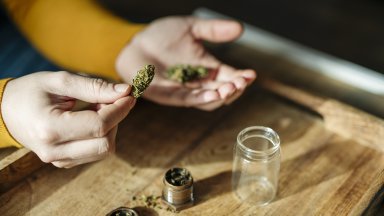 Регионалното шотландско правителство заяви че мерките трябва да бъдат приложени