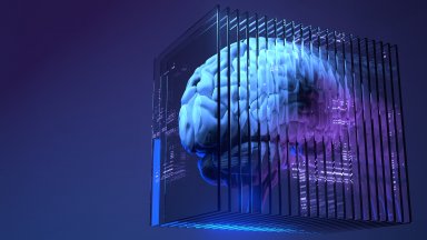 Мозъчните импланти и изкуственият интелект застрашават неприконовеността на личния живот