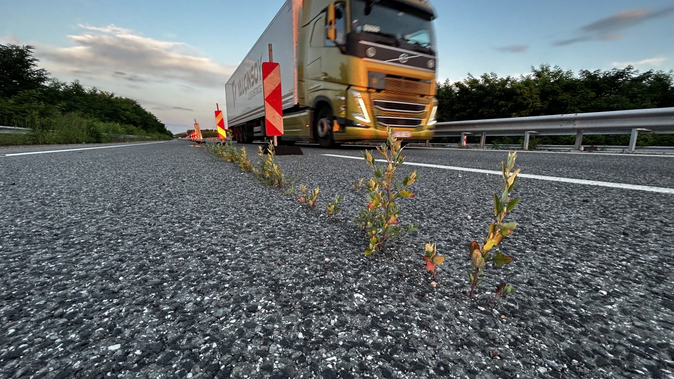 Трева поникна на магистрала “Марица” (видео/снимки)