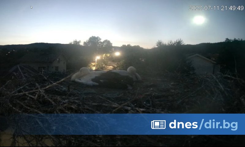 От района на с. Извор, обл. Видин го видяхме. Около