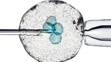 Причините са обективни най вече знаете че дълго време поради различни