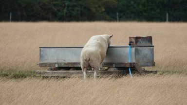 На режим на пълно безводие в момента се намират няколко