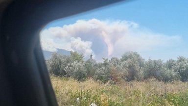 Пожарите в Гърция: Какво трябва да знаят пътуващите