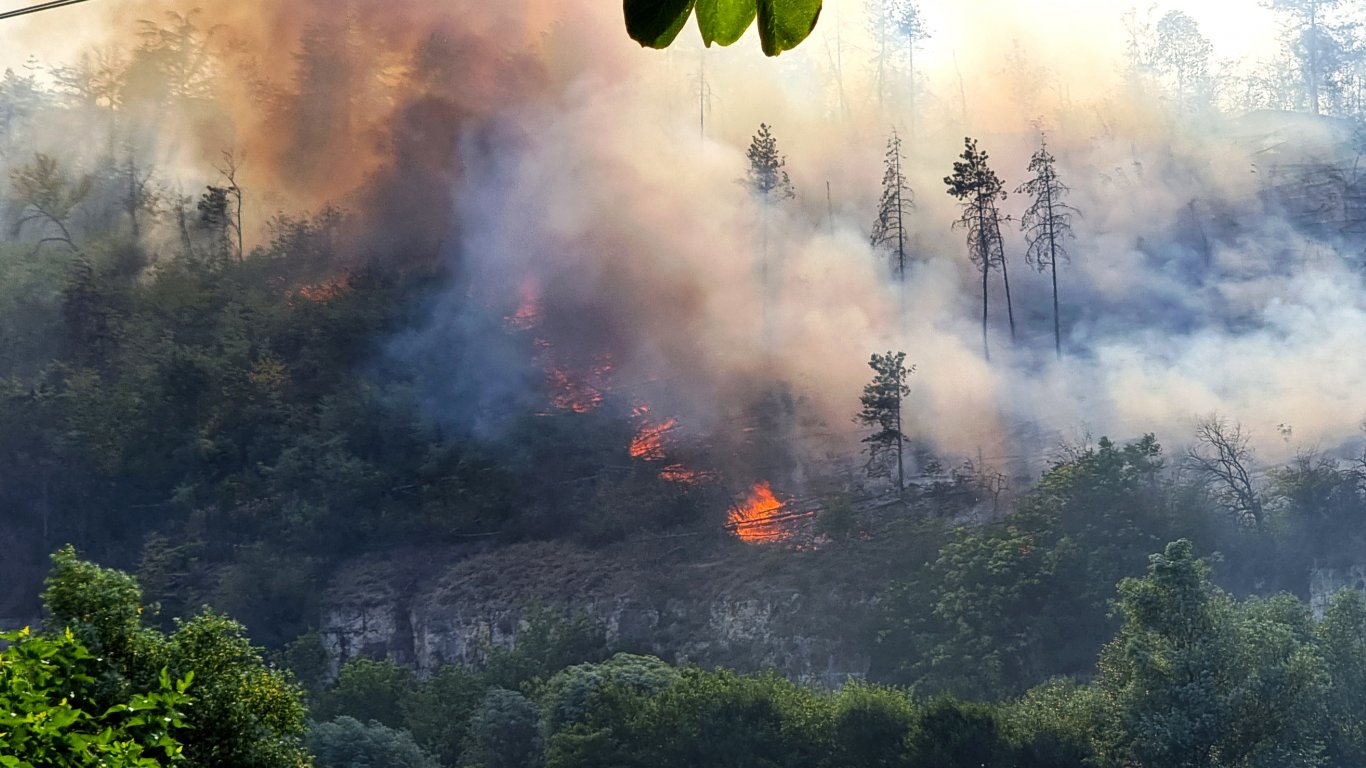 Овлядяха големия пожар в Русе, огнеборците спасиха вилите и дом "Приста" (снимки и видео)