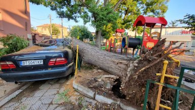 Харманли след бурята: Сгради без покриви, паднали дървета и премазани автомобили (снимки)