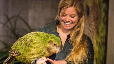 Рядък новозеландски папагал се прибира у дома за първи път от десетилетия