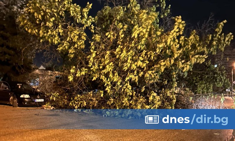 Подобни са щетите и във Враца. Силен вятър връхлетя и