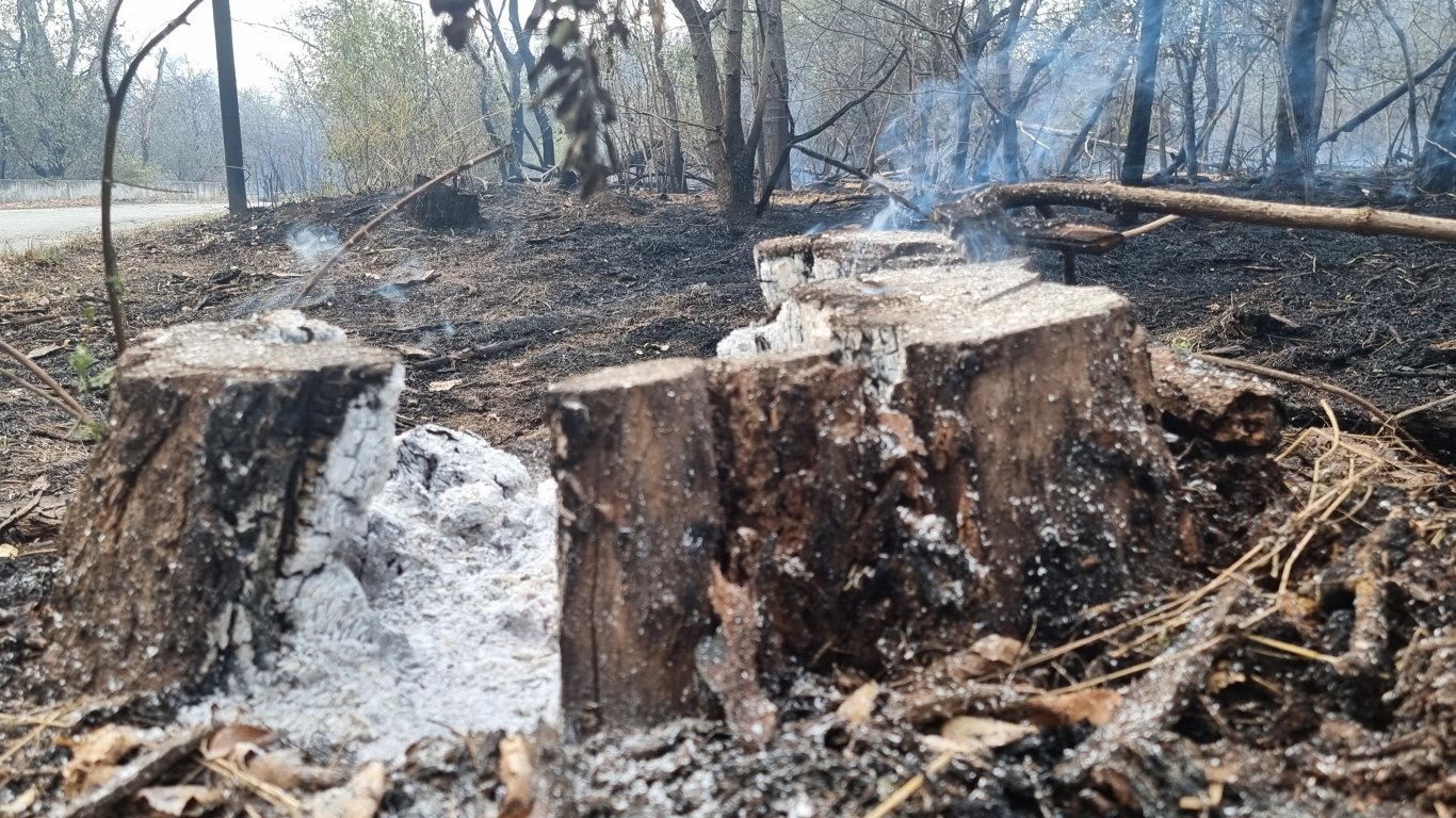 Пет пожара за ден в Пловдив. Продължава гасенето на огнища край Буково