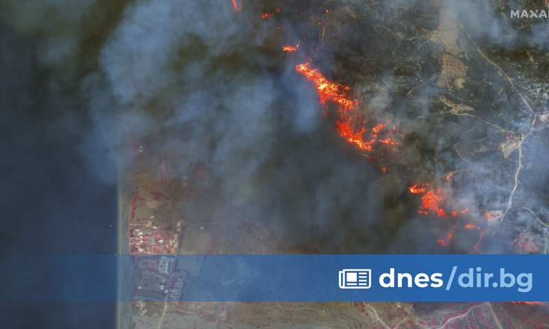 Горските пожари са неконтролируеми процеси на горене на растителността в