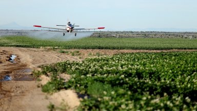 Селскостопански самолет се разби край Раднево, пилотът загина