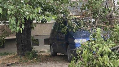 Към 14 часа днес 186 огнеборци и 65 единици техника