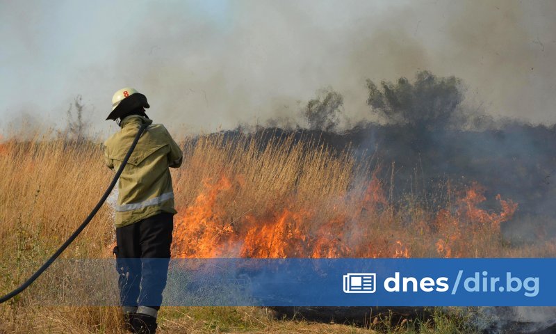Сигналът за пламъците е подаден около 15:30 часа днес.
Затворен е