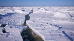 Учени използват изкуствен интелект за прецизно прогнозиране на морския лед в Антарктика