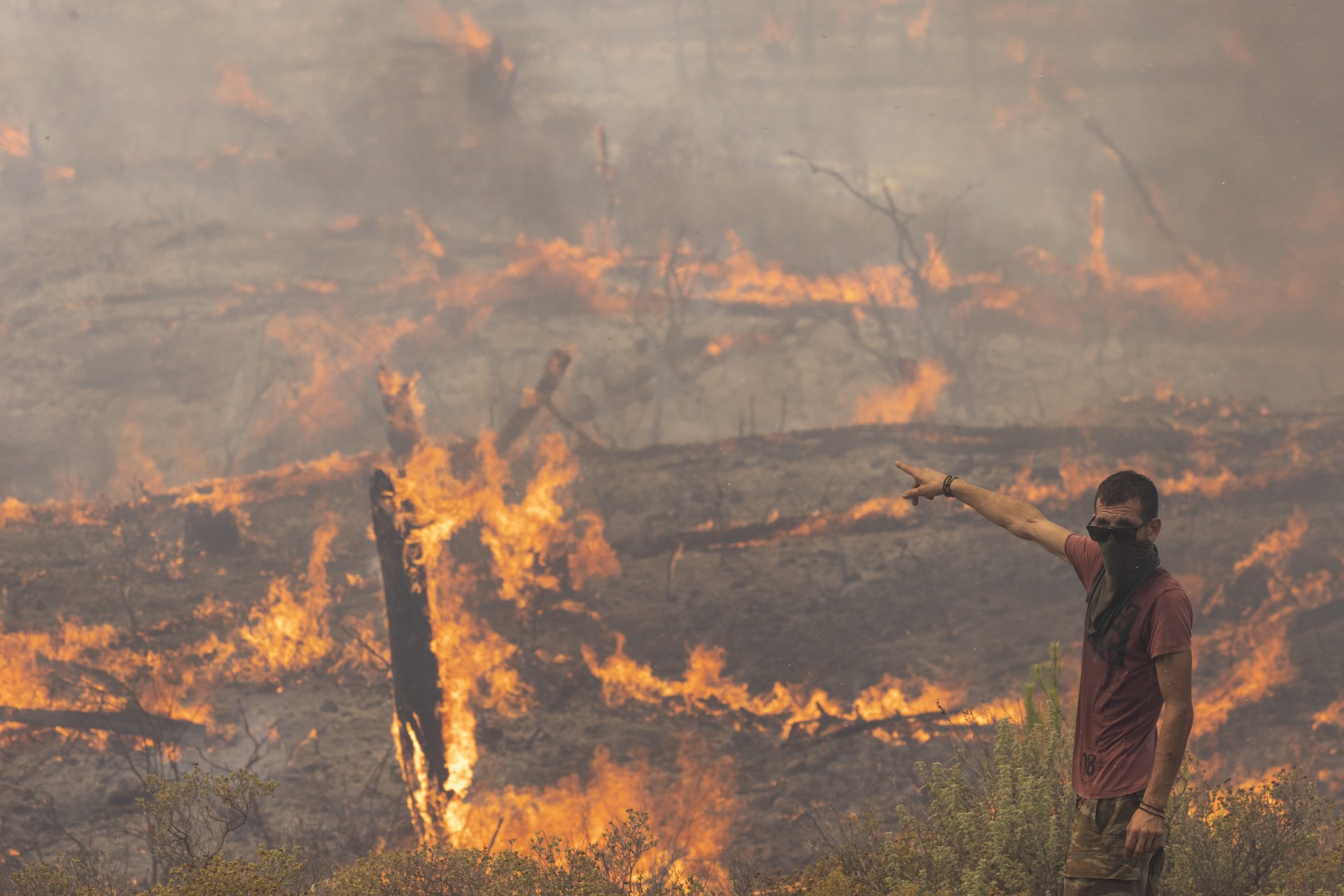 Гърция се бори с около 63 пожара в цялата страна по време на интензивна гореща вълна. 
