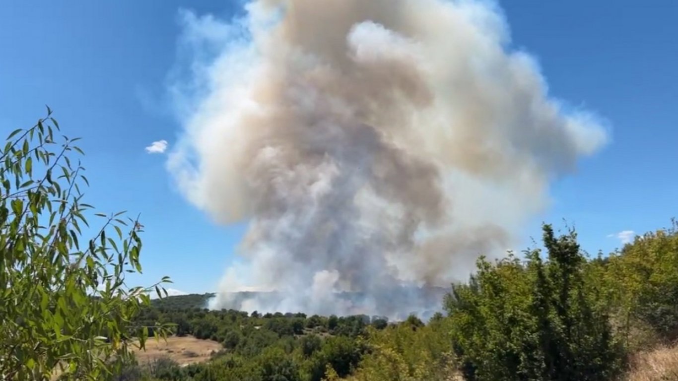 Нов голям пожар в Хасковско, гори смесена гора в труден терен край село Свирачи (видео)
