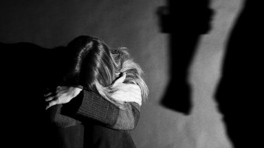 Австрия разследва група тийнейджъри, сред които и българи, тормозели сексуално 12-годишна