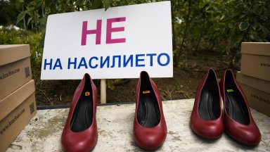 Организаторите посочват че е необходима реформа в законите за да