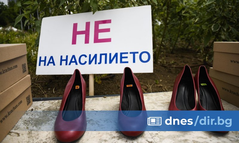 Организаторите посочват, че е необходима реформа в законите, за да