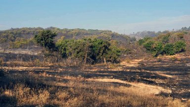 Пожарът между ивайловградските села Свирачи и Орешино избухна в следобедните