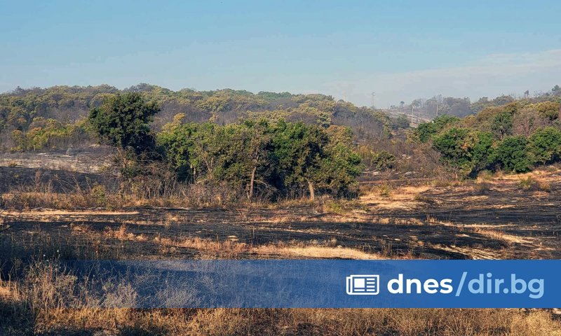 Пожарът между ивайловградските села Свирачи и Орешино избухна в следобедните