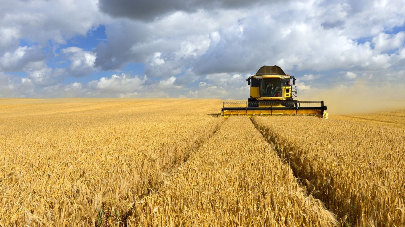 Разнопосочно движение на цените на зърнените стоки по световните борси