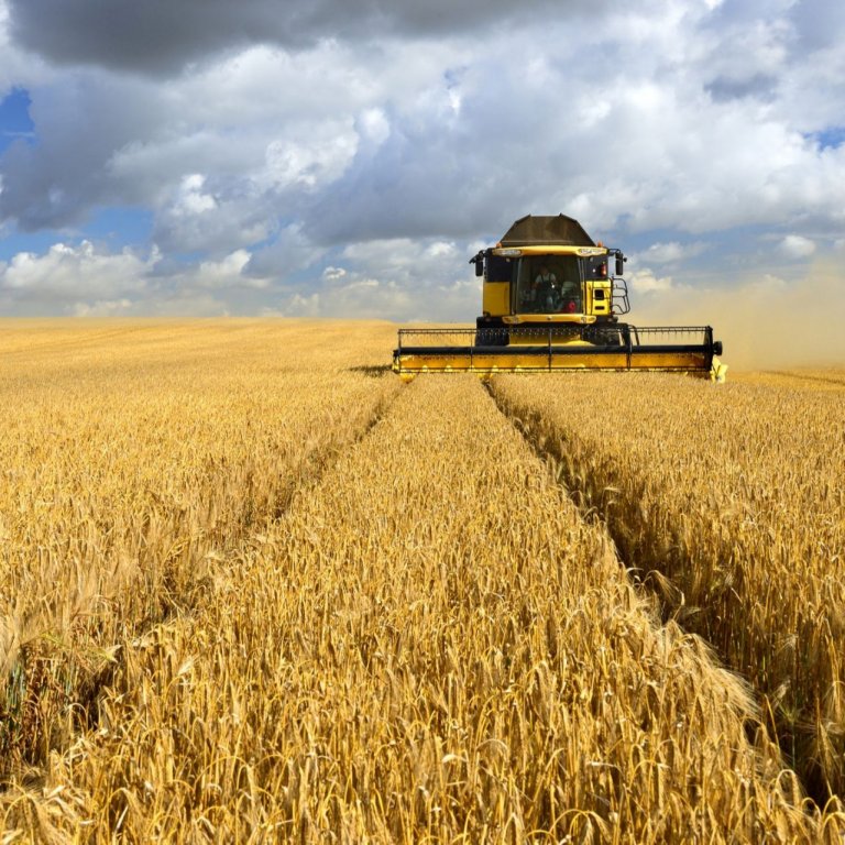 ЕС намалява вноса на пшеница и захар от Украйна с до 80%