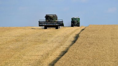 Заради топлата пролет: Фермери очакват по-ниска реколта пшеница и по-високи цени