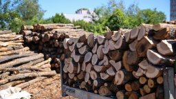 Съдът на ЕС определи изгарянето на дърва за отопление и производство на енергия като "зелена дейност"
