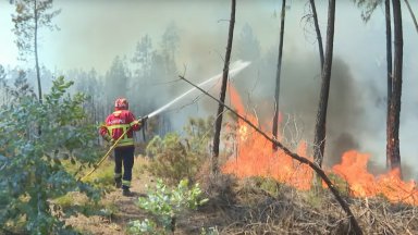 Заради пожара са евакуирани общо 19 малки села четири туристически