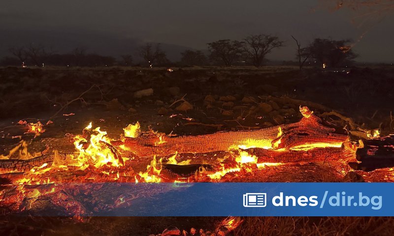 В Генералното ни консулство в Лос Анджелис е сформиран денонощен