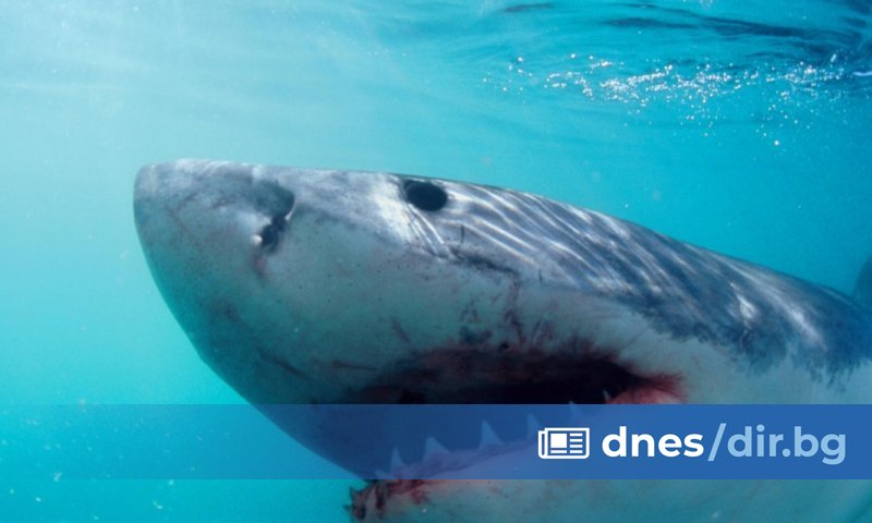 Пострадалата жена, за която се съобщава, че е в края