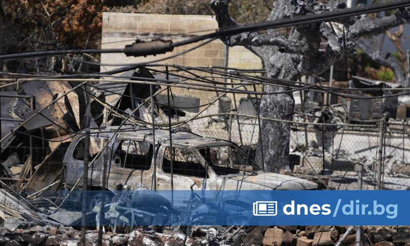 ФБР призова роднините на изчезналите да дадат ДНК проби, за да