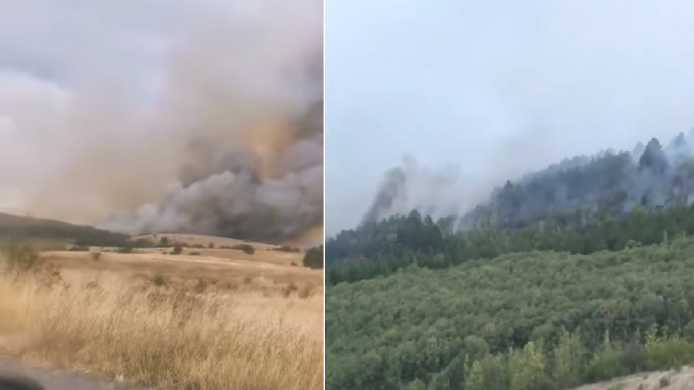 Огромен пожар бушува в Бургаско, пламъци изпепелиха 7 къщи край Стралджа (снимки/видео)
