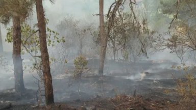 По информация на oколо 4 часа сутринта огнената стихия е