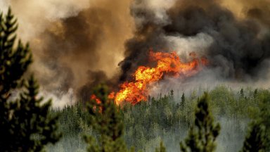 Пожари в Канада: Британска Колумбия е в извънредно положение, 19 000 души бягат от пожара в Йелоунайф