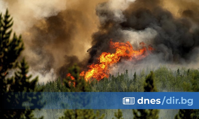Това позволява (на правителството) да се сдобие и да вкара