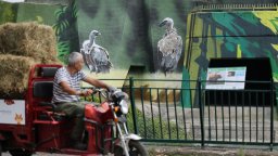 Украинецът Андрий Палвал нарисувал графитите в зоопарка в София за около седмица