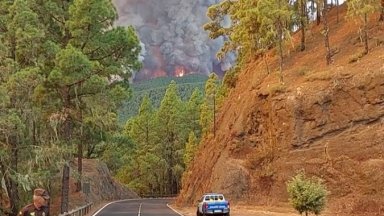 Рано тази сутрин огънят беше обхванал около 130 хектара близо