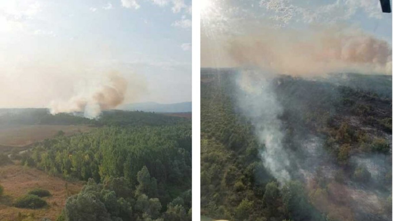 Горски пожар в землището на пловдивското село Бабек (снимки)