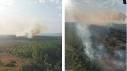 Горски пожар в землището на пловдивското село Бабек (снимки)