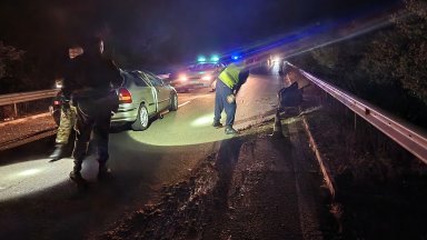 Двама ранени, след като "Хонда" блъсна крави на пътя Бургас-Малко Търново
