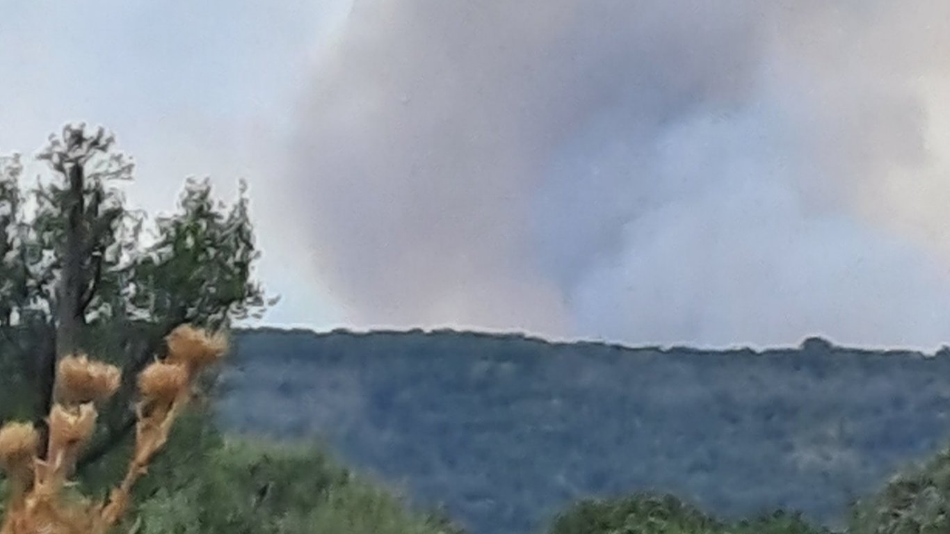 Пожар с фронт от 15 километра обхвана Сакар планина (снимки)