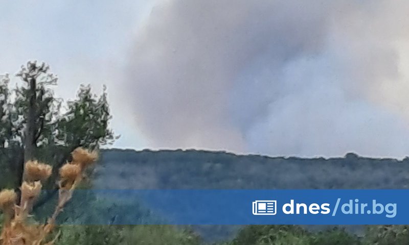 Снимка: БТА Затова началникът на свиленградската пожарна Иво Тонев призова: