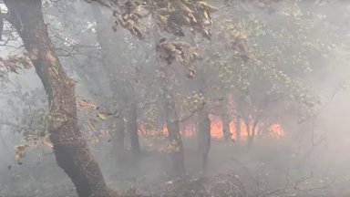 Заради разрастването на огъня е сформиран специален щаб от началника