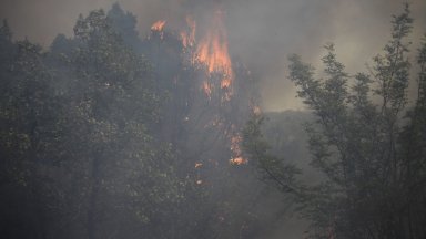 Пожарът в Свиленградско се разраства, обхвана 15 000 декара площ (видео)