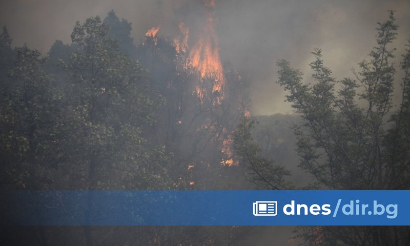 Пожарът е под контрол, но с увеличена площ, от 15